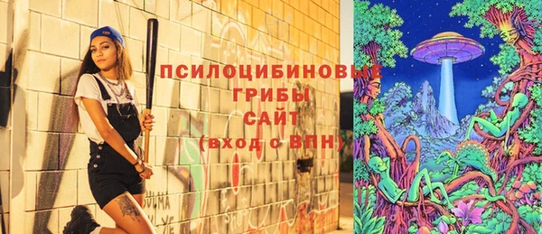крисы Алзамай
