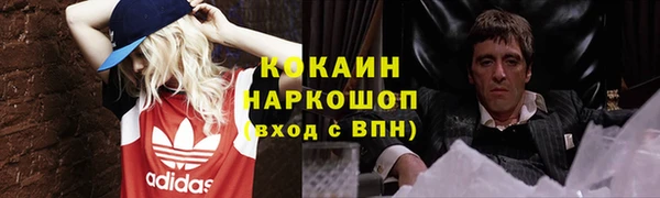 крисы Алзамай