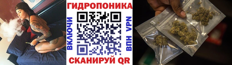 Конопля Bruce Banner  Юхнов 